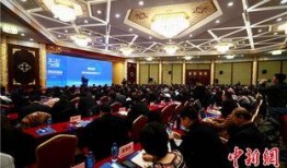 奶企高管爆料新闻报道视频,揭秘行业黑幕与真相