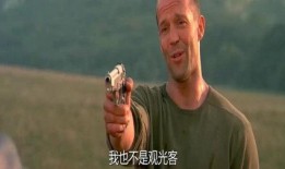 弗兰克在线观看,揭秘网络直播背后的真实人生